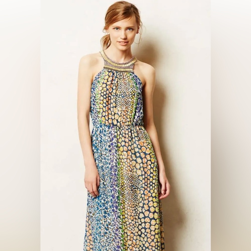 HD in Paris Anthropologie Maxi Dress